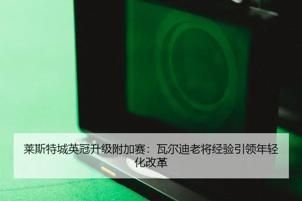 莱斯特城英冠升级附加赛：瓦尔迪老将经验引领年轻化改革