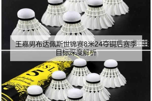 wang-jia-nan-bu-da-pei-si-shi-jin-sai-mi-duo-tong-hou-sai-ji-mu-biao-shen-du-jie-xi-3-423.jpg