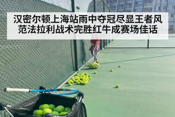 汉密尔顿上海站雨中夺冠尽显王者风范法拉利战术完胜红牛成赛场佳话